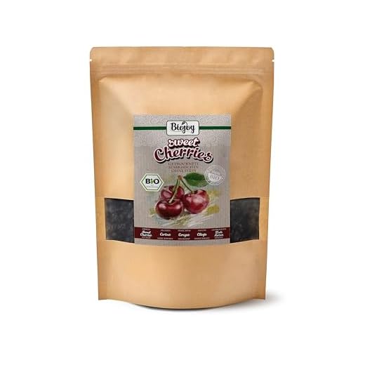 Biojoy Ciliegie essiccate BIO denocciolate 1kg