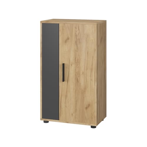Vicco Kommode Berno, Goldkraft Eiche/Anthrazit, 50.1 x 87.3 cm mit 2...