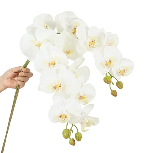 DODXIAOBEUL Lot de 2 tiges d'orchidée artificielles phalaenopsis en latex au toucher réaliste,...
