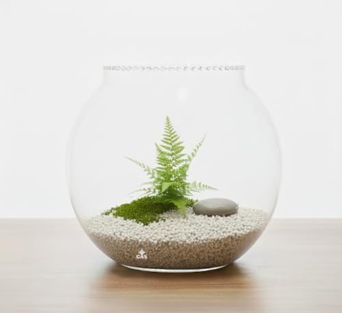 Image of CAS 1L to 14L Glass Fish Bowl (12 INCH Extra Thick Glass) 13.6L