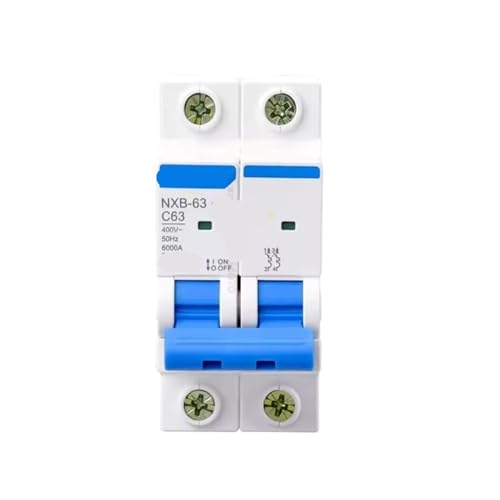 Disjoncteur miniature NXB-63 protection bipolaire courbe C AC 230V 400V tableau maison