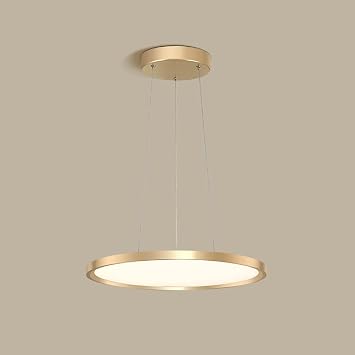 Modern Chandelier , Disc Pendant Light LED Chandelier Hanging Lighting Fixture with Acrylic Lampshade Contemporary Brushed Aluminum Finish Ceiling Pendant Lamp for Office Dining Room Meeting Room30cm