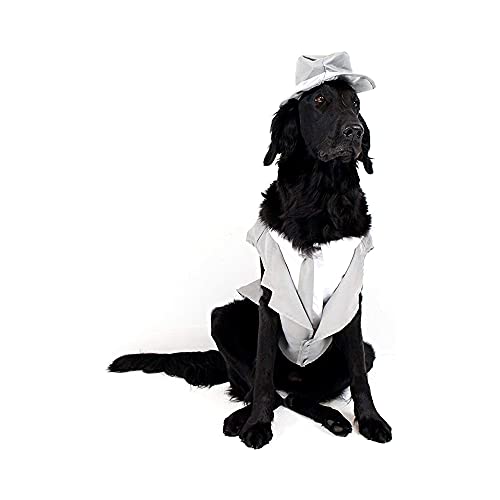 Midlee Dog Tuxedo Wedding Suit- Gray Top Hat & Leash (5Xl) #TOP7