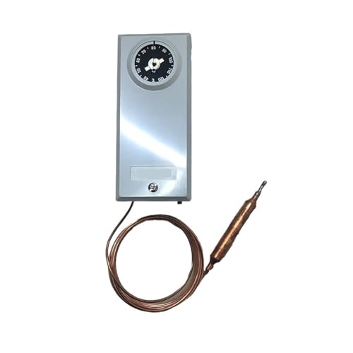 Contrôleur de température LWS-C1120AGL2 précis pour gestion thermique