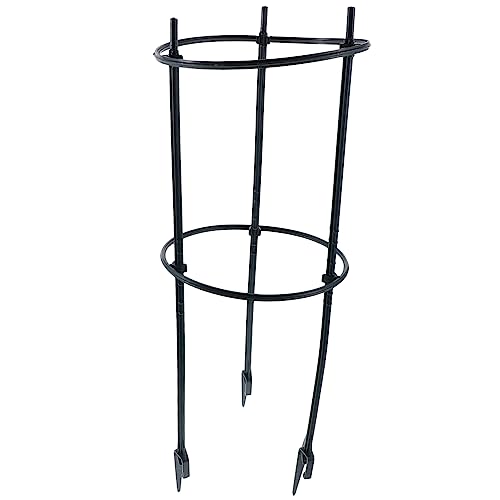 KONTONTY 1set Supporti per Piante Rampicanti Supporto Stabile per Vasi da Giardino per Viti e Fioriture