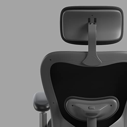 Cxo Executive Mid Back Chair In Black W Headrest (Burgundy) #TOP4