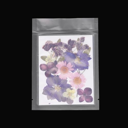 Flores prensadas secas naturales para manualidades miniatura 4