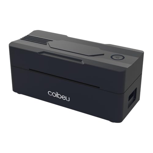 Impressora Térmica de Etiquetas 4x6, USB e Bluetooth, 203 DPI