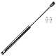 AUTOXBERT Motorhauben Gasfeder für VW T5, 7E0823359 Motorhaube Dämpfer Gasfeder für VW t5 Transporter Caravelle 2003-2015