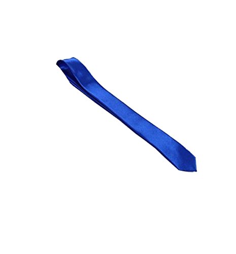 Price comparison product image Robelli slim satin narrow tie - royal blue