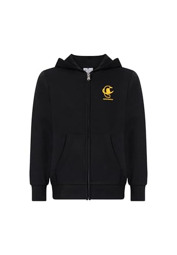 Sweat-shirt à capuche Champion idéal pour l'école et le sport