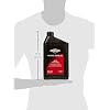 Briggs and Stratton oil. 100008 E
