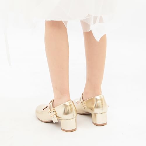 Girls Dress Shoes Low Heel School Girls Wedding Party Mary Jane Princess Pump Shoes3