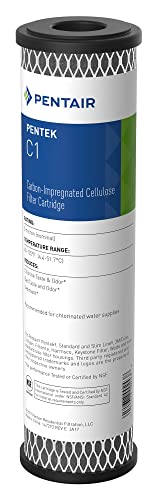 Pentair Pentek C1 Carbon Water Filter, 10-Inch, Under Sink Dual Purpose Powdered Activated Carbon-Impregnated Cellulose Replacement Cartridge, 10" X 2.5", 5 Micron, Black #TOP6
