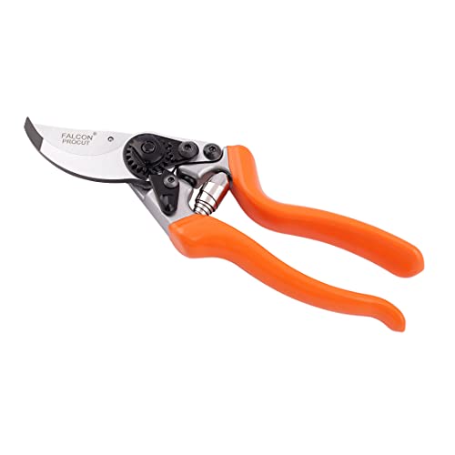 Falcon Pruning Secateur (Multicolour, 225 mm)