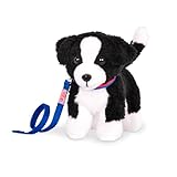 border collie cuccioli prezzo Contiene: 1 cucciolo, 1 collare con etichetta per cani, 1 guinzaglio