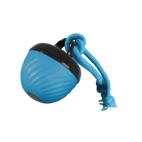 �W�����v���̂������჉���_���Ȓ��˕Ԃ�A�N�V�����𚐑ϐ��d�C�{�[���ދ��y�b�g��������C���^���N�V�����{�[��