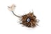 Petlinks HappyNip Wild Wooly Cat Toy, Contains Silvervine & Catnip - Brown, One Size