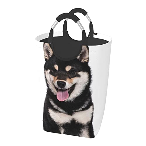    h[oXPbg h[ {bNX [{bNX [obO  ȃCeAG ht ܂肽 e 32×58icmj