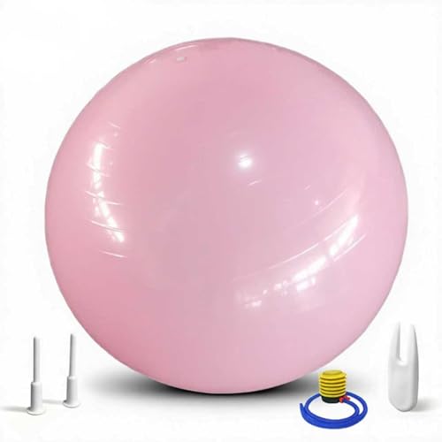 Exercise Ball, 55 cm Anti-Burst Balance Ball, Yoga Chair with Quick Pump, Home Gym Equipment, Pink