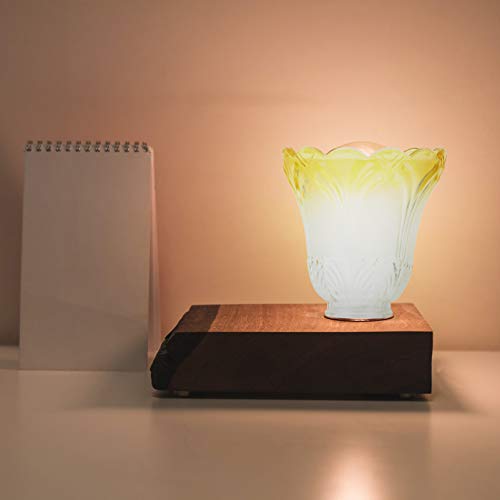 Mobestech Abajur de Vidro Transparente Em Forma de Flor Abajur Tampa Da Luz para a Lâmpada de Assoal