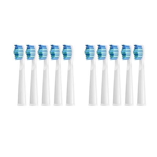 �����p�d�����u���V�w�b�h�A�݊����̂���For Fairywill FW-D1/FW-D3/FW-D7�A���u���V�����p�w�b�h(10 PCS WT)