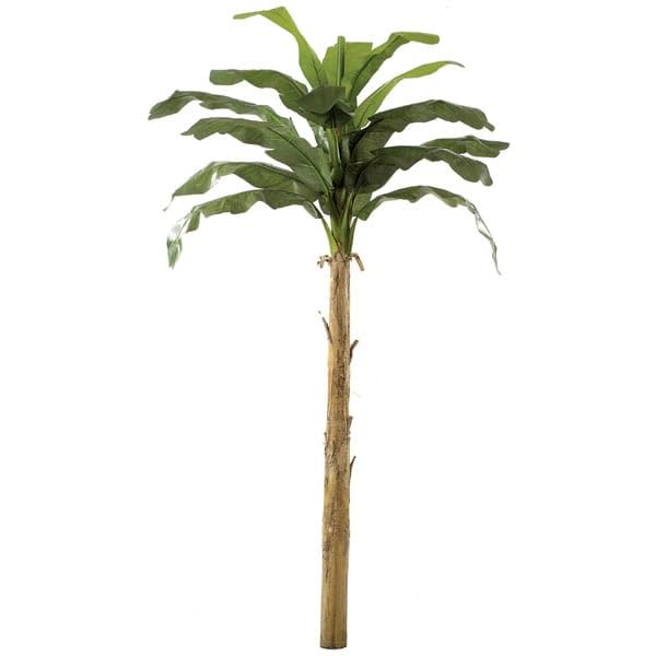 12' Banana Silk Palm Tree - Green