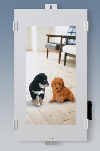 nwd ~jd RpNgd Ǌ|d1 ChTCY LEDt (zCg, q)