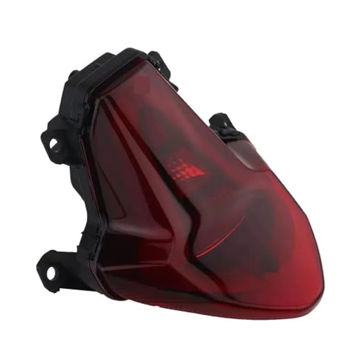 Freno luces trasero CF250-6 con acabado resistente y óptica ahumada para 250SR 300SR 5