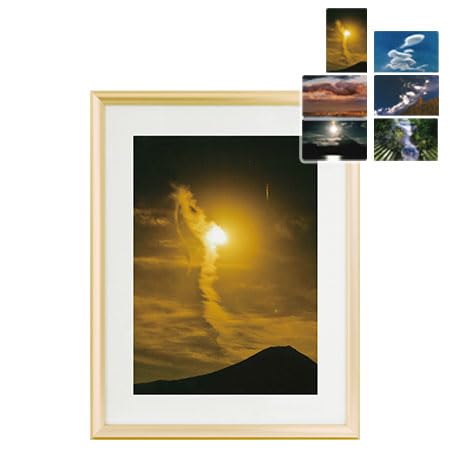 Amazon.co.jp: 秋元隆良 奇跡の写真 「金色晩龍」【龍と鳳凰六景カード