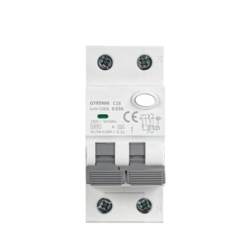Disjoncteur différentiel protection fuite 2P 25A 30mA GYR9NM interrupteur tableau