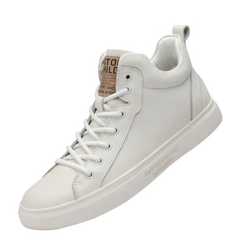 [RAMEMO] Y XP[gV[Y nCJbg v Xj[J[ U[ V[gu[c H~ [XAbv JWA EH[LOV[Y X|[c ~ ʋC ₷ ʊw ʋ  zCg{A 23.5 cm