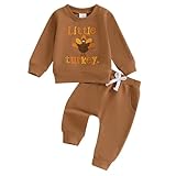 Adobabirl Baby Boy Thanksgiving Outfit Little Turkey Crewneck Sweatshirt and Pants Set Infant Toddler Fall Winter Clothes (Embroidered Turkey Brown,6-12 Months)