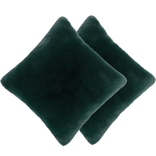 Housse de coussin 50x70 cm lot de 2 taies d'oreiller modernes pour sofa