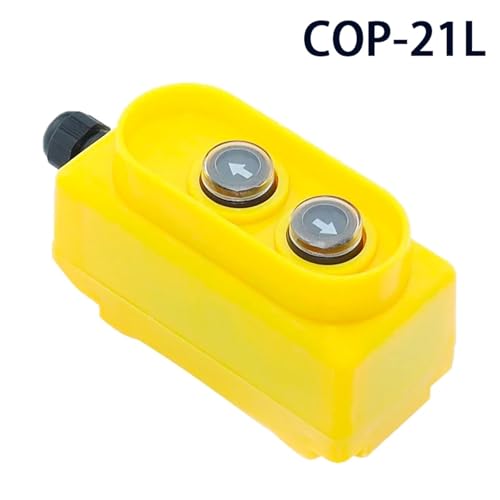 Commande directe pour grue COP-21L avec boutons haut bas étanches 380V - 2