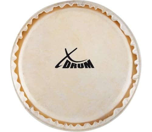 XDrum Bongo Fell 6,5 - Natur-Fell für Bongo-Trommel - Durchmesser: 6,5 Zoll (ca. 165 mm) - Natur