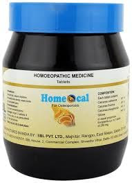 SAMBRAMA HOMOEO Sbl Homeocal Tabs(450G)