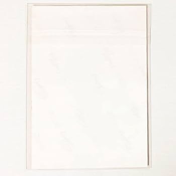 Amazon.co.jp: SKE48 松井玲奈 ギンガムチェック☆劇場盤☆生写真