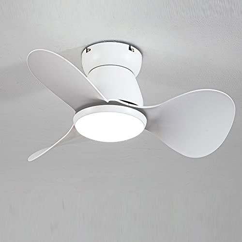 IBalody Ventilador de techo para interiores de 24 pulgadas con luz LED, luz de ventilador de 6 velocidades, luz de ventilador de techo silenciosa creativa para comedor, dormitorio, habitación de niños Cover