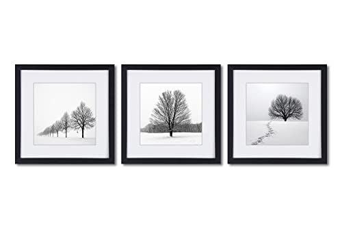 Tree Wall Art Snow Winter Landscape Black And White Picture Framed Canvas Print In Off White Matte And Black Framed Artwork 11X11 Inch Set Of 3 For Kitchen And Home Or Living Room Decor #TOP5