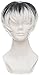 HTDYLHH Belle parrucche, Tokyo Ghoul Re Kaneki Ken Sasaki Haise Black White Mix Breve resistente al calore Capelli in fibra Pelucas Anime Cosplay Costume Parrucche + Parrucca per l'uso quotidiano di C