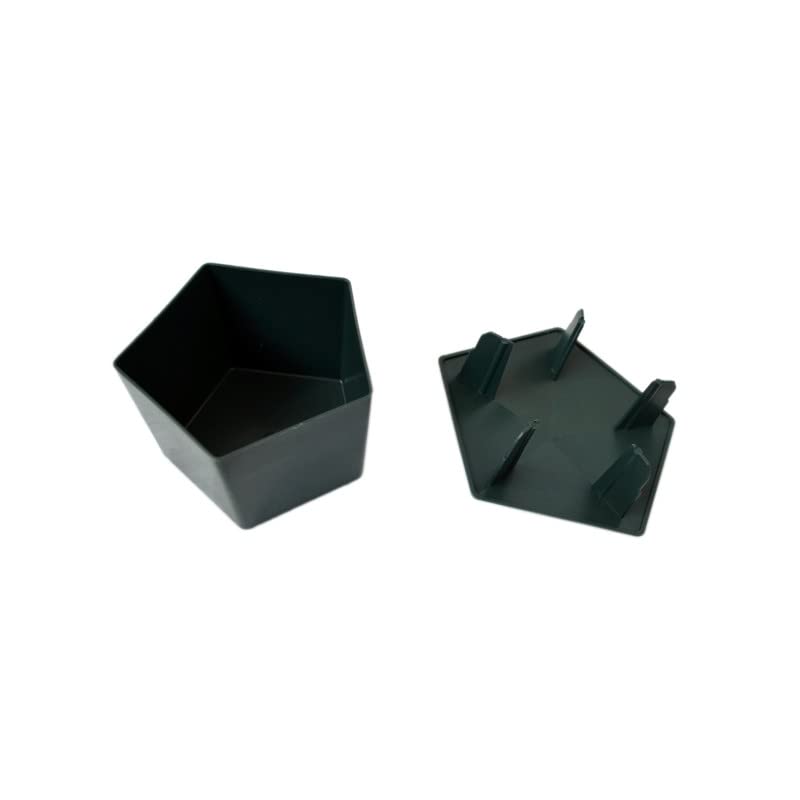 Piège à limace - lot de 2
