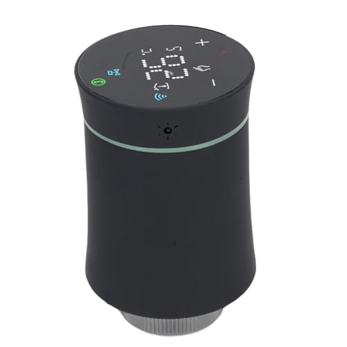 Programmable TRV with LCD Display