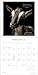 I Am Goat 2026 Wall Calendar: Wisdom from Nature's Philosophers