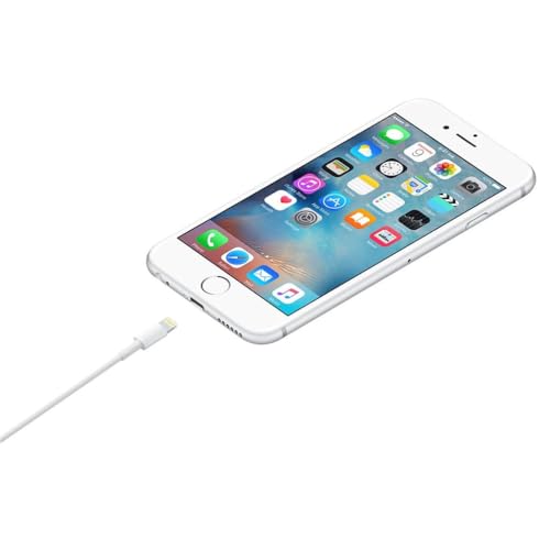 Image of Apple Lightning to USB Cable (1 m)