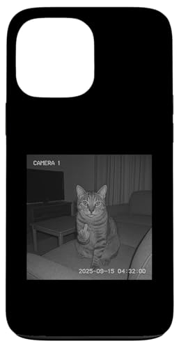 Funny Cat Flipping Off Middle Finger On Security Camera X}zP[X iPhone 13 Pro Max p