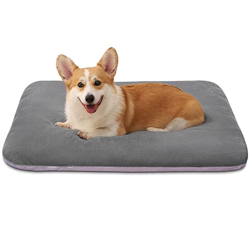 Image of Magic Dog Super Soft Medium Dog Bed, 32 Inches Orthopedic Foam Pet Beds with Anti Slip Bottom, Dog Sleeping Mattress with Removable and Washable Cover, Grey M,32'' X 24'' X 3''