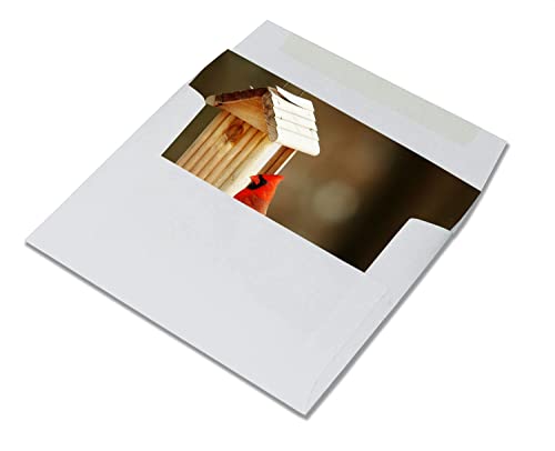 Image of Small World Greetings Single Cardinal Note Cards 12 Count - Blank Inside with White Envelopes - A2 Size 5.5 inch x 4.25 inch - All Occasions - Bird Stationery - Birthday, Thank You, and More