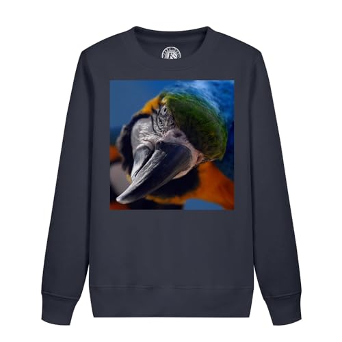 Sweatshirt enfant ara bleu perroquet oiseau pull imprimé col rond automne