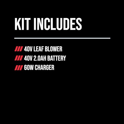 Image of SKIL 40V 460CFM Leaf Blower Kit Including 2.0Ah Battery and 60W Charger-BL0460C-11